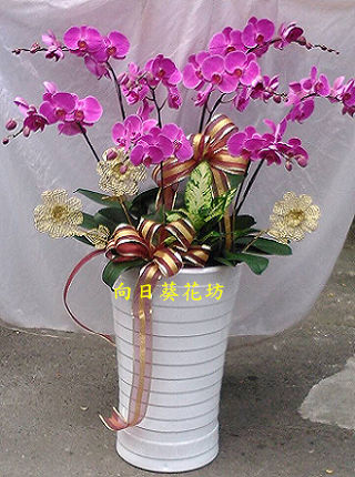 點我回上一頁~~