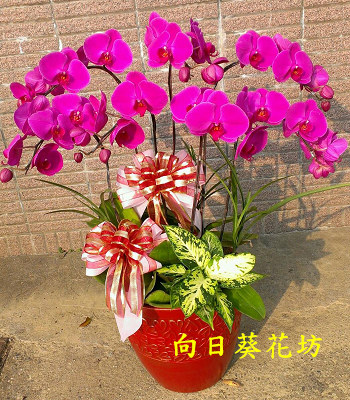 點我回上一頁~~