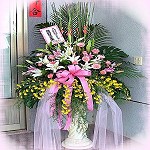 羅馬花柱/對
