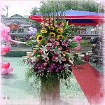 羅馬花柱/對