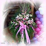 羅馬花柱/對
