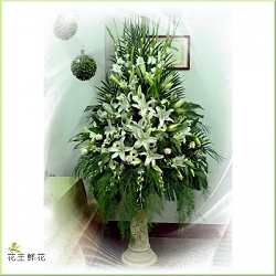 羅馬花柱/對