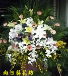羅馬花柱/對