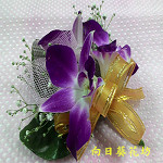 優雅蘭花
